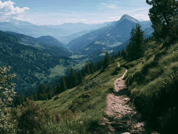 Travel
